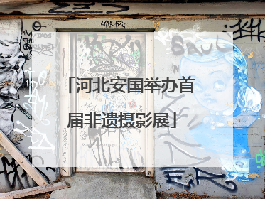 河北安国举办首届非遗摄影展