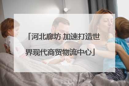 河北廊坊 加速打造世界现代商贸物流中心