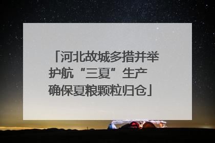 河北故城多措并举护航“三夏”生产 确保夏粮颗粒归仓