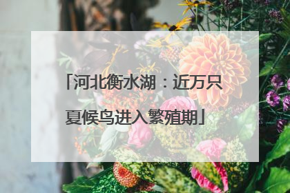 河北衡水湖：近万只夏候鸟进入繁殖期