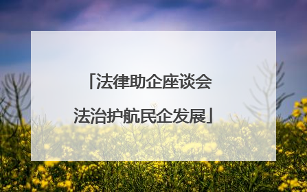 法律助企座谈会 法治护航民企发展