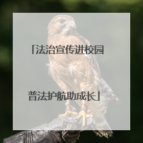 法治宣传进校园 普法护航助成长