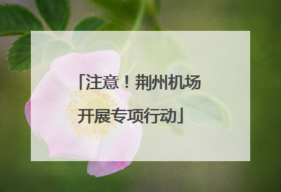 注意！荆州机场开展专项行动