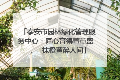 泰安市园林绿化管理服务中心：匠心育得萱草盛，一抹橙黄醉人间