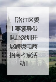 洛江区委主要领导带队赴深圳开展跨境电商招商考察活动