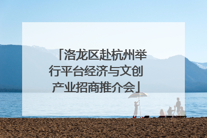洛龙区赴杭州举行平台经济与文创产业招商推介会