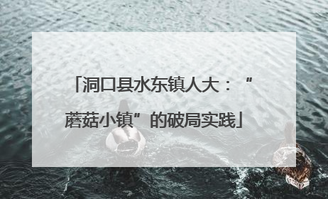 洞口县水东镇人大：“蘑菇小镇”的破局实践