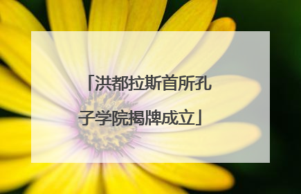 洪都拉斯首所孔子学院揭牌成立