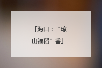 海口：“琼山福稻”香