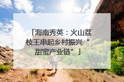 海南秀英：火山荔枝王串起乡村振兴“甜蜜产业链”