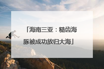 海南三亚：糙齿海豚被成功放归大海