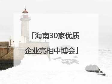 海南30家优质企业亮相中博会