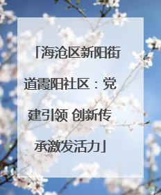 海沧区新阳街道霞阳社区：党建引领 创新传承激发活力