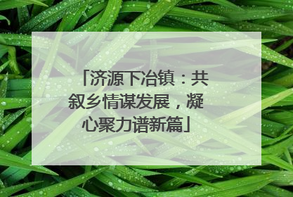 济源下冶镇：共叙乡情谋发展，凝心聚力谱新篇
