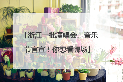 浙江一批演唱会、音乐节官宣！你想看哪场