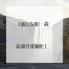 浙江东阳：荷花盛开采摘忙