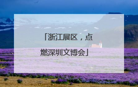 浙江展区，点燃深圳文博会