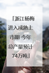 浙江杨梅进入成熟上市期 今年总产量预计74万吨