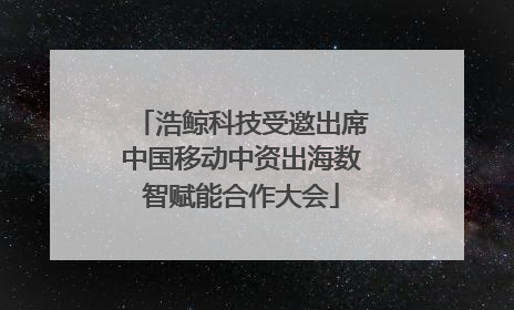 浩鲸科技受邀出席中国移动中资出海数智赋能合作大会