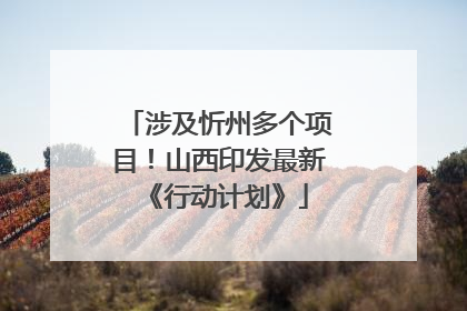 涉及忻州多个项目！山西印发最新《行动计划》