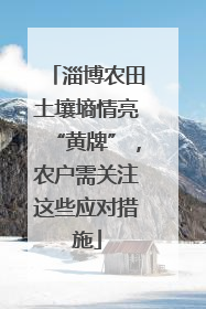 淄博农田土壤墒情亮“黄牌”，农户需关注这些应对措施