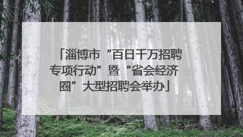 淄博市“百日千万招聘专项行动”暨“省会经济圈”大型招聘会举办
