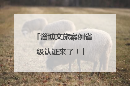 淄博文旅案例省级认证来了！