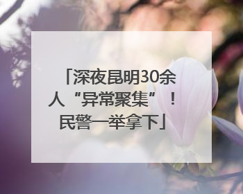深夜昆明30余人“异常聚集”！民警一举拿下