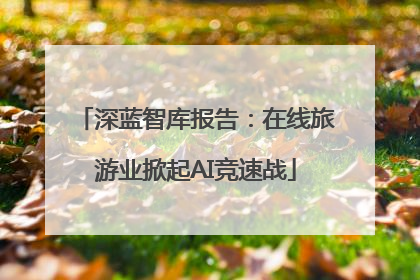 深蓝智库报告：在线旅游业掀起AI竞速战
