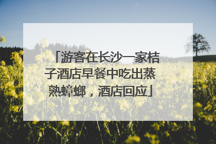 游客在长沙一家桔子酒店早餐中吃出蒸熟蟑螂，酒店回应