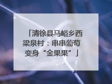 清徐县马峪乡西梁泉村：串串葡萄变身“金果果”