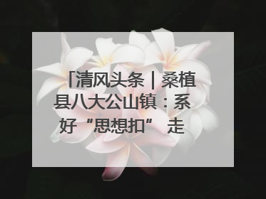 清风头条｜桑植县八大公山镇：系好“思想扣” 走稳“青廉路”