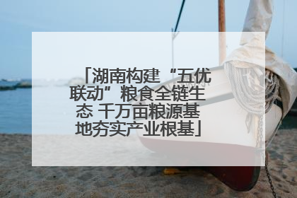 湖南构建“五优联动”粮食全链生态 千万亩粮源基地夯实产业根基