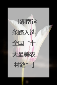 湖南这条路入选全国“十大最美农村路”