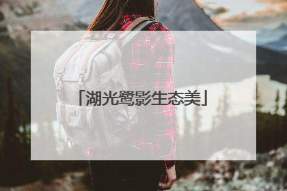 湖光鹭影生态美
