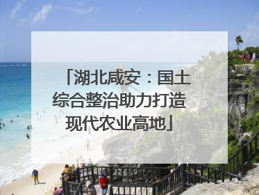 湖北咸安：国土综合整治助力打造现代农业高地