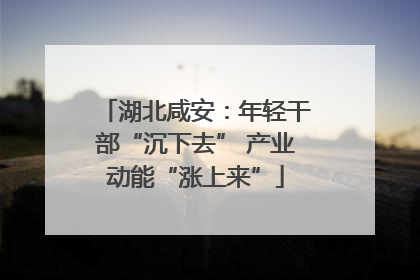 湖北咸安：年轻干部“沉下去” 产业动能“涨上来”