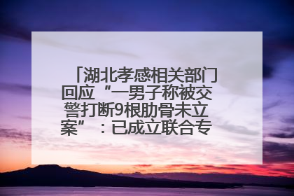 湖北孝感相关部门回应“一男子称被交警打断9根肋骨未立案”：已成立联合专班开展工作
