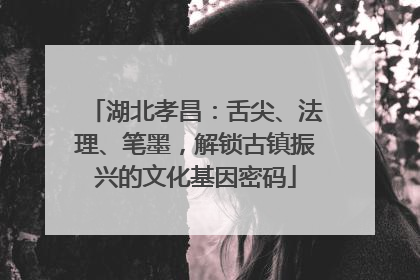 湖北孝昌：舌尖、法理、笔墨，解锁古镇振兴的文化基因密码