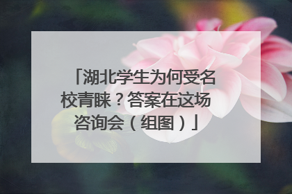 湖北学生为何受名校青睐？答案在这场咨询会（组图）