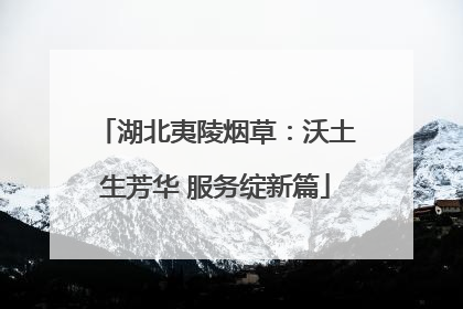 湖北夷陵烟草：沃土生芳华 服务绽新篇