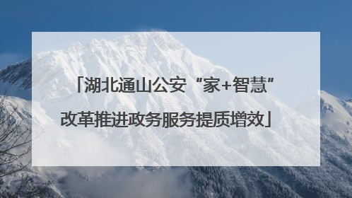 湖北通山公安“家+智慧”改革推进政务服务提质增效