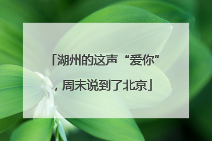 湖州的这声“爱你”，周末说到了北京
