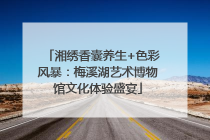 湘绣香囊养生+色彩风暴：梅溪湖艺术博物馆文化体验盛宴