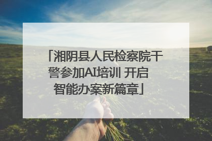 湘阴县人民检察院干警参加AI培训 开启智能办案新篇章