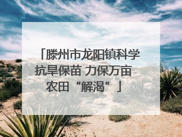 滕州市龙阳镇科学抗旱保苗 力保万亩农田“解渴”