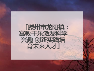 滕州市龙阳镇：寓教于乐激发科学兴趣 创新实践培育未来人才