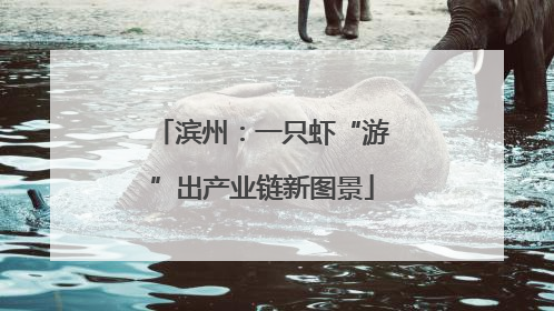 滨州：一只虾“游”出产业链新图景