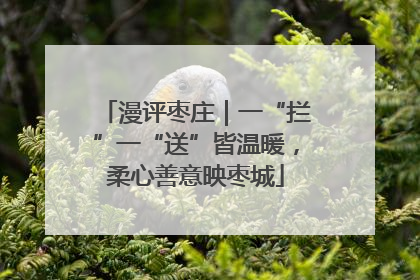 漫评枣庄｜一“拦”一“送”皆温暖，柔心善意映枣城