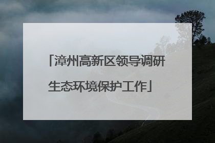 漳州高新区领导调研生态环境保护工作